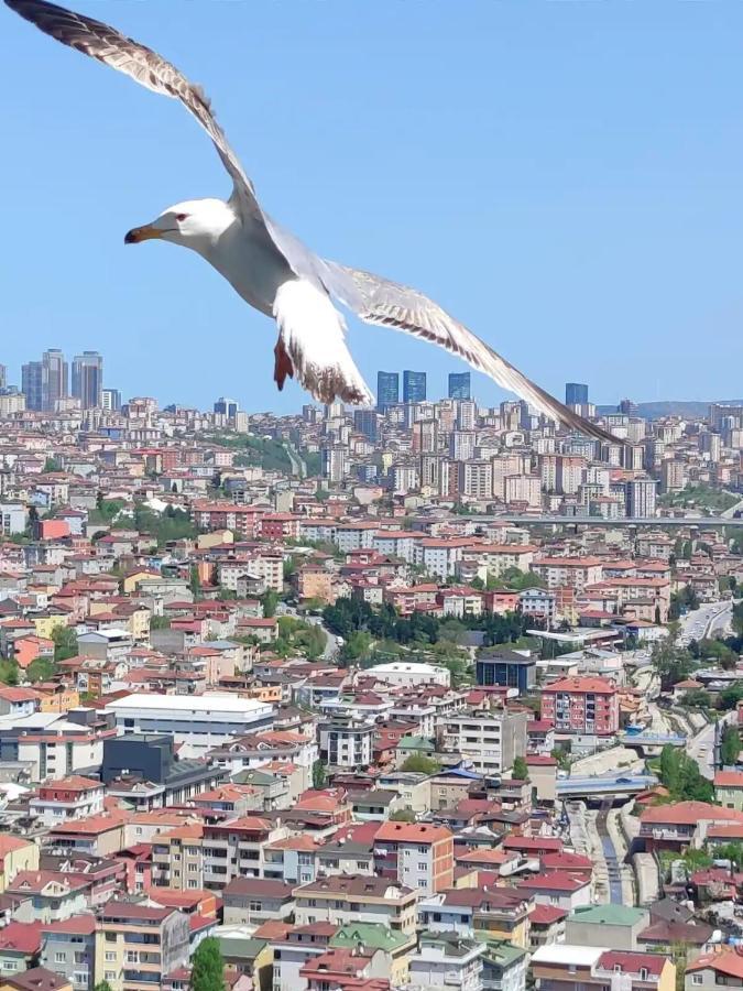 Magneficent Luxury Residence With Pool And Fitnes Estambul Exterior foto